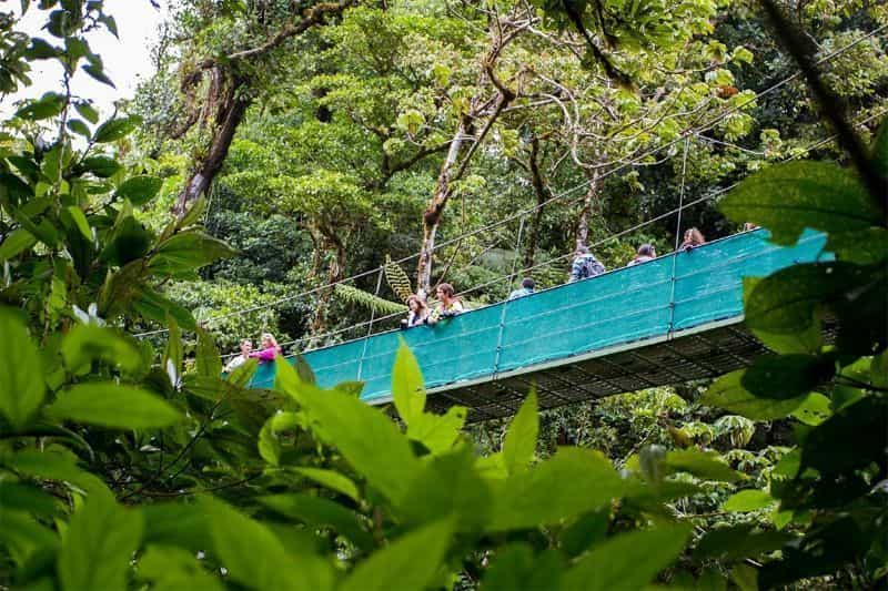 Monteverde Walk Adventure by Costa Rica Unexplored