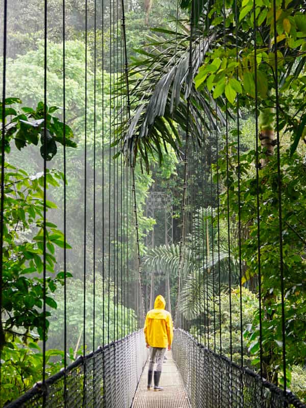 A tourist walking over a hanging bridge in the middle of the rainforest.