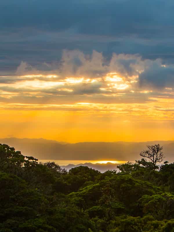 Sunset at Monteverde, Puntarenas. just in the middle of the tropical rainforest