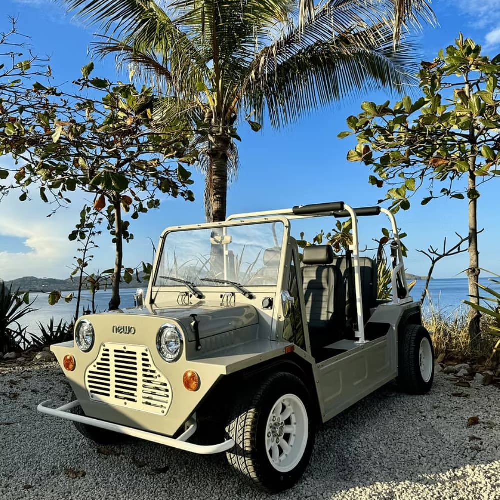 a car parked on gravel next to a palm tree