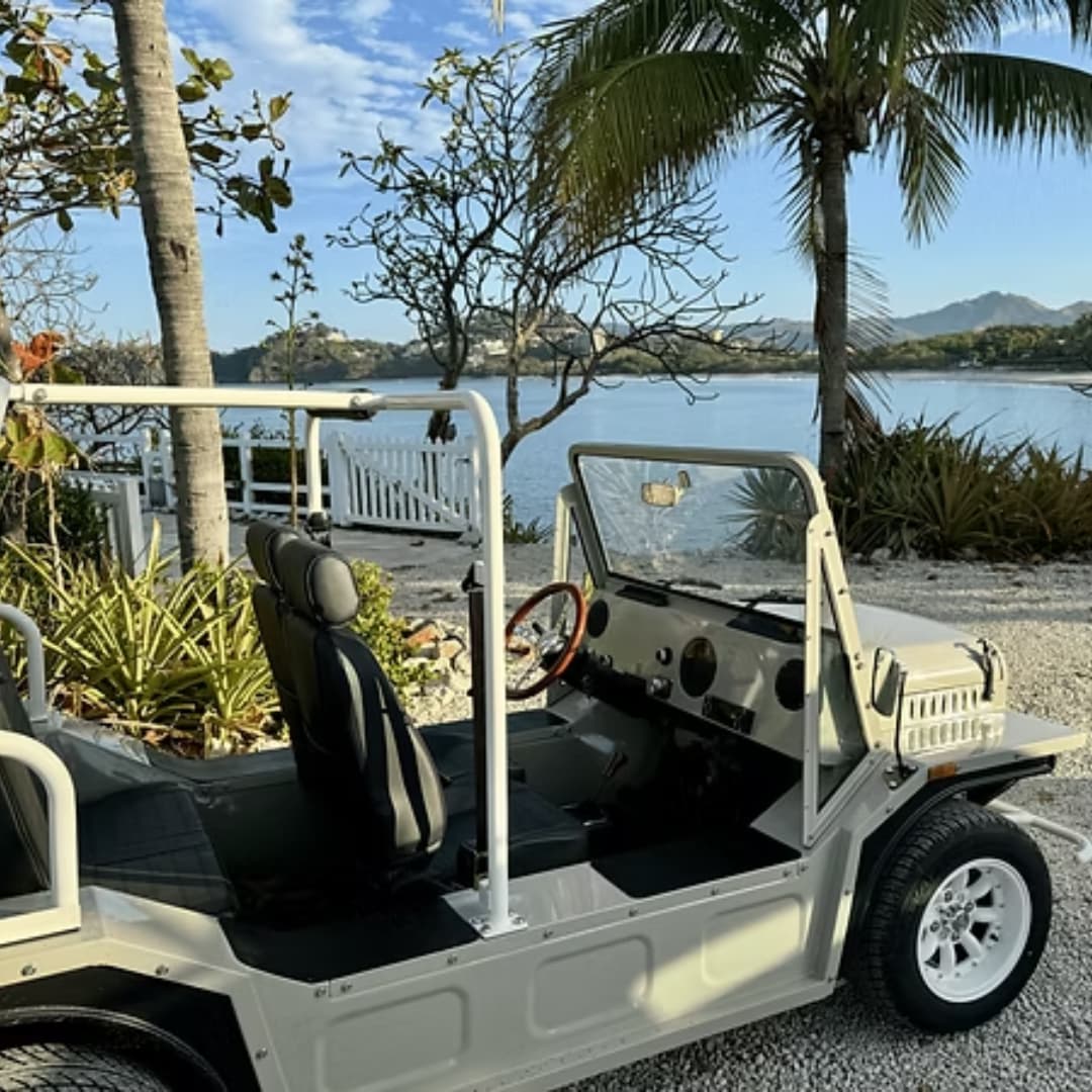 a car parked on gravel next to a palm tree